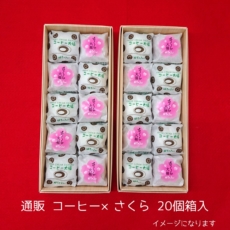 s10×10”