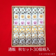 aki30