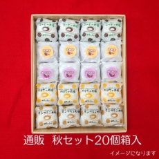 aki20