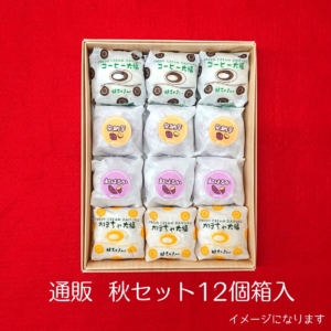 ちい　小玉まどんな4kg ×２箱ぐるりん aki12 | 妙ちくりん