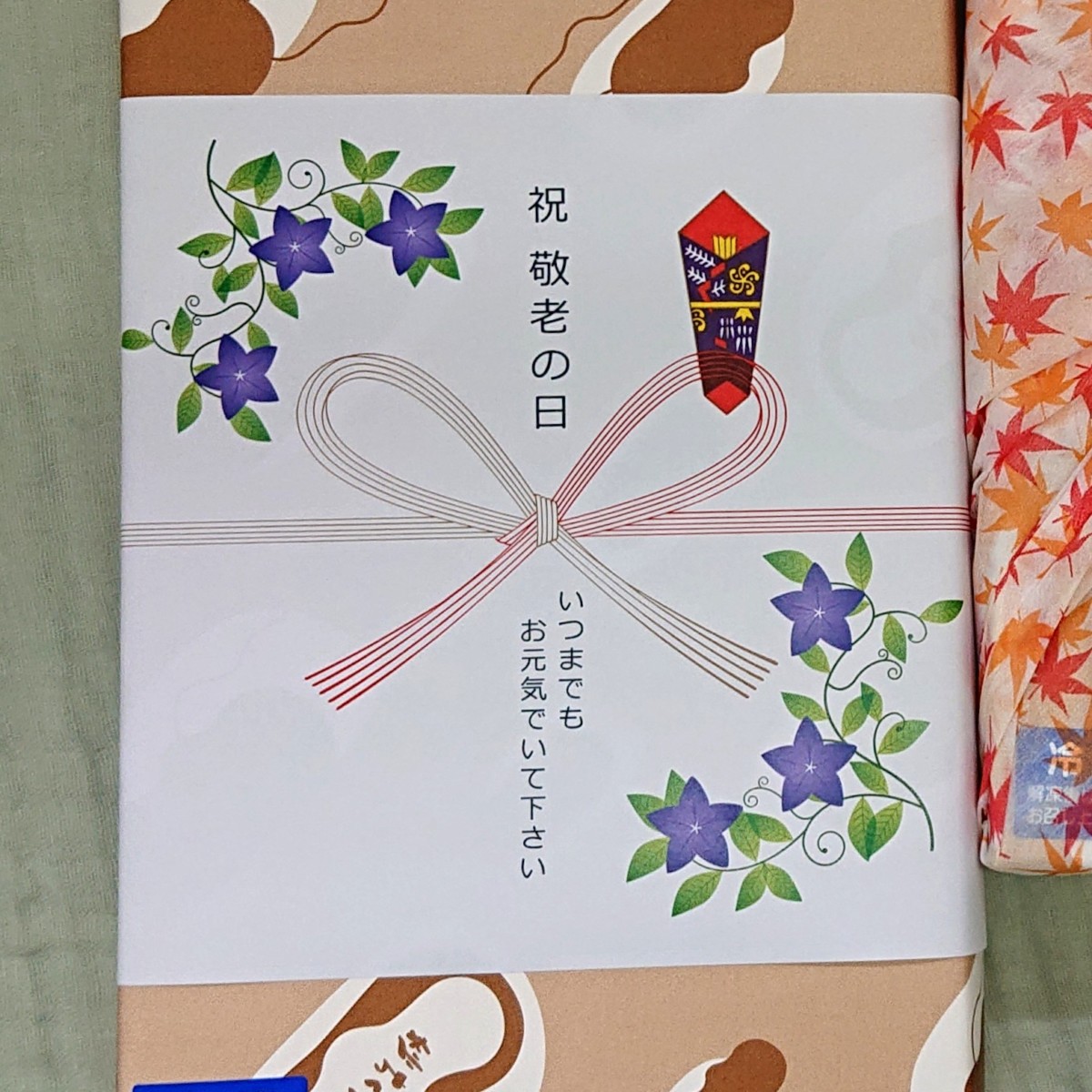 C-15-2025keiro