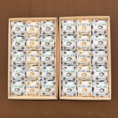 ssf-30